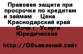 Правовая защита при просрочке по кредитам и займам  › Цена ­ 1 000 - Краснодарский край, Сочи г. Услуги » Юридические   